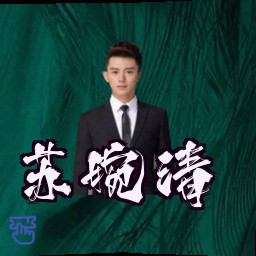 苏婉清